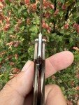 Norseman #3740 Bronze & Blue Titanium Folding Knife