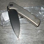 WE Knife Subjugator 21014C-4 Black Titanium Knife