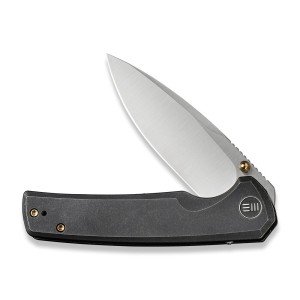 WE Knife Subjugator 21014C-2 Black Titanium Blade