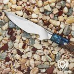 Dalstrong Valhalla BBQ Piranha Knife - 6
