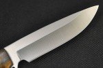 Busse Short 3.6" Elmax Steak Knife with Maple Handle