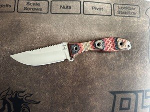 Busse Custom Elmax Sawback Crab Shack Knife