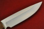 Busse Custom 3.5" Elmax Steak Knife