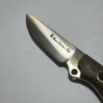 Busse Custom Shop Cultellus Knife