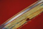 Busse Custom SOB Variant - Hammered INFI Knife