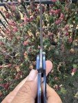 Grimsmo Norseman #5753 Blue Titanium Knife