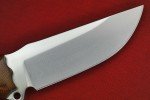 Busse Custom Park Ranger Satin Blade Knife