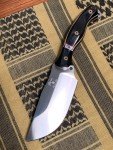 Busse Custom War Train Knife - Buffalo Horn & G-10