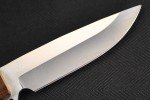 Busse Custom 3.6" Elmax Steak Knife with Surfboard Handle