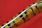 Busse MAX Warden 0.01" Satin ElMax Knife