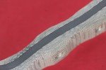 Busse Team Gemini SE 27" Black A2 Knife