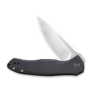 WE Knife Kitefin 2001G - S35VN Titanium Blade