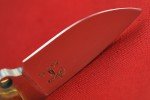 Busse Custom Game Warden Knife with Ironwood Handle