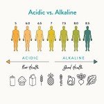 Ketone, pH, Uric Acid Test Strips - 100ct