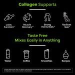 Creamy Chocolate Fudge Collagen Protein Powder