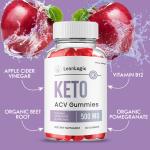 Lean Logic Max Strength Keto ACV Gummies - 3 Pack