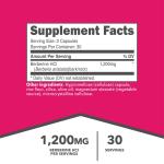 Ketologic Berberine HCl 1,200mg - 60 Capsules