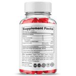 Lean Logic Max Strength Keto ACV Gummies - 2 Pack