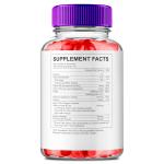 Lean Logic Keto ACV Gummies – 3 Pack