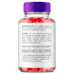 Lean Logic Keto ACV Gummies – 3 Pack