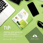 Cucumber & Dalandan Keto Beauty Juice Packs