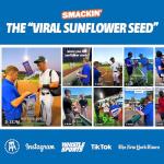 12 Bags Keto-Friendly Roasted Sunflower Seeds Variety Pack