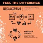 Keto Electrolyte Drink Mix | Paleo Hydration | Grapefruit Flavor | 30 Sticks