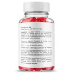 Lean Logic Max Strength Keto ACV Gummies 5-Pack