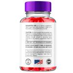 Leanlogic ACV Keto Gummies - 3 Pack
