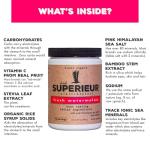 Plant-Based Electrolyte Drink Powder - Watermelon Flavor