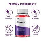 Neurocept Brain and Memory Gummies - 3 Pack