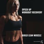 Chocolate Vegan Protein Meal Replacement Shake