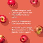 Organic Apple Cider Vinegar Gummies - Gut Health Booster