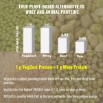 Peanut Butter Vegan Protein Meal Replacement Shake