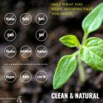 Peanut Butter Vegan Protein Meal Replacement Shake