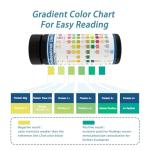 12-Panel UTI Test Strips Kit for Home Use