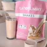 Vanilla Flat Tummy Shakes – Keto Protein Supplement