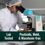 Keto Clean Coffee with MCT Oil & Collagen Bundle