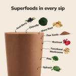 KaChava Chocolate Meal Replacement Protein Shake