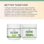 Keto-Friendly Collagen Peptides Powder - 16.08oz