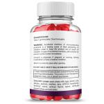 Rapid Ripped Keto ACV Gummies - Max Strength 2 Pack