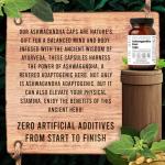 Santa Cruz Paleo Ashwagandha Root Capsules - Keto Friendly