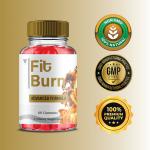 Fit Burn Keto ACV Gummies - 2 Pack
