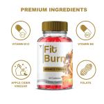 Fit Burn Keto ACV Gummies - 2 Pack