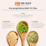 310 Nutrition Meal Replacement Shake - Mocha Flavor