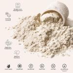 310 Nutrition Meal Replacement Shake - Mocha Flavor