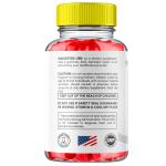 Fit Burn Keto ACV Gummies - 3 Pack