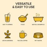 LyteLine Ionic Trace Mineral Drops - 200 Servings