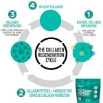 Unflavored Hydrolyzed Collagen Peptides Protein Powder