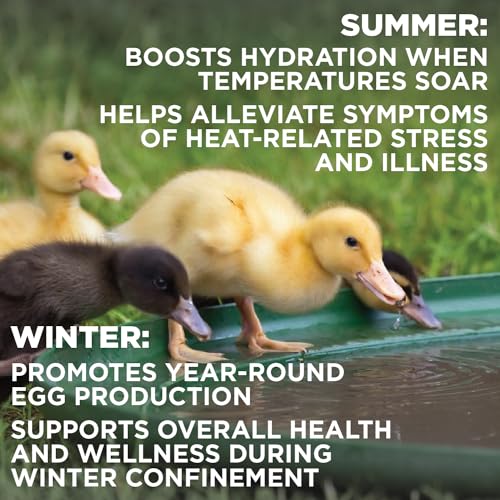 Chick'n Aid Chicken Supplement - Vitamins for Poultry